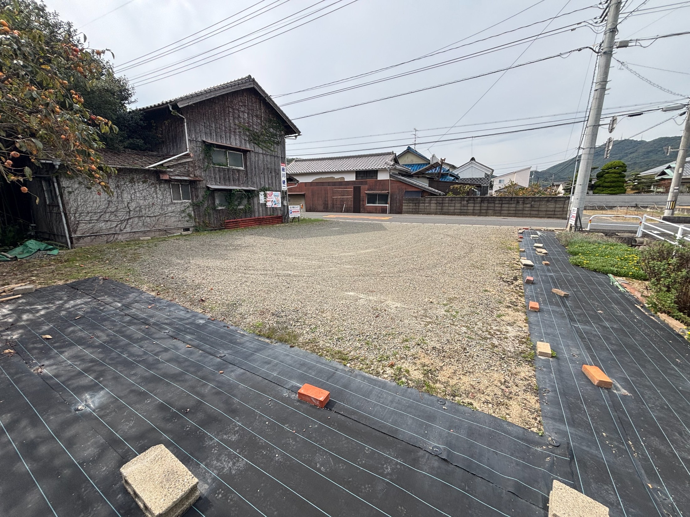 敷地内からの様子